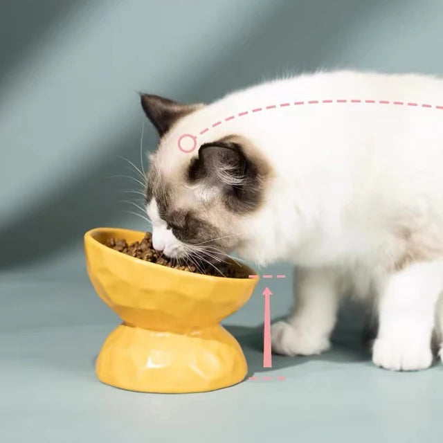 Raised Ceramic Cat Food Bowls - Elevated Ergonomic Design