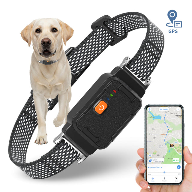 Smart GPS Pet Tracker - Real-Time Location & Activity Monitoring
