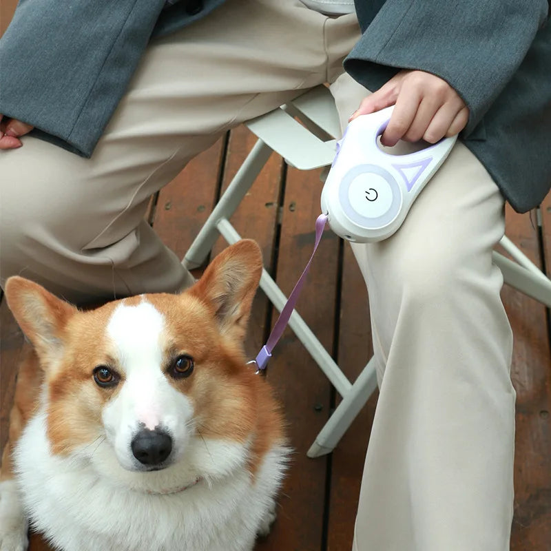 Premium Retractable LED Dog Leash – Automatic Luminous Pet Walking Leash for Small & Medium Dogs