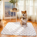Option B - Reusable Dog Pee Pad with Puppy