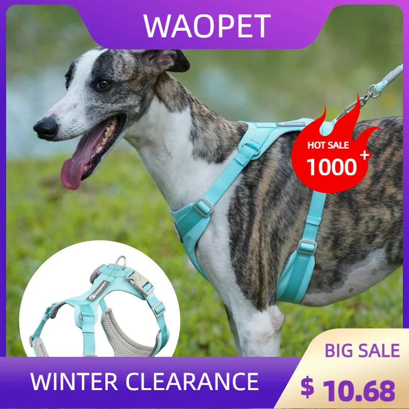 Lightweight Step-In Dog Harness | Breathable No-Pull Mesh Pet Vest | Adjustable Reflective Outdoor Walking Harness for Small, Medium, and Large Dogs
