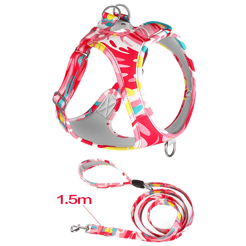 Adjustable Dog Harness & Leash Set