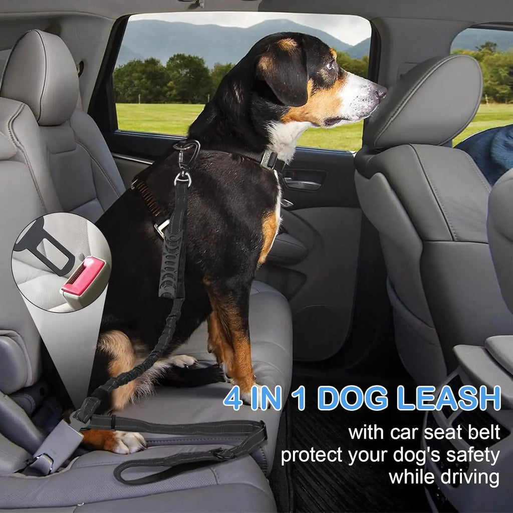 Heavy Duty Bungee Dog Leash | 4-6FT Shock Absorbing Extension Traffic Lead | Tactical Reflective Walking Running Rope for Medium and Large Dogs That Pull