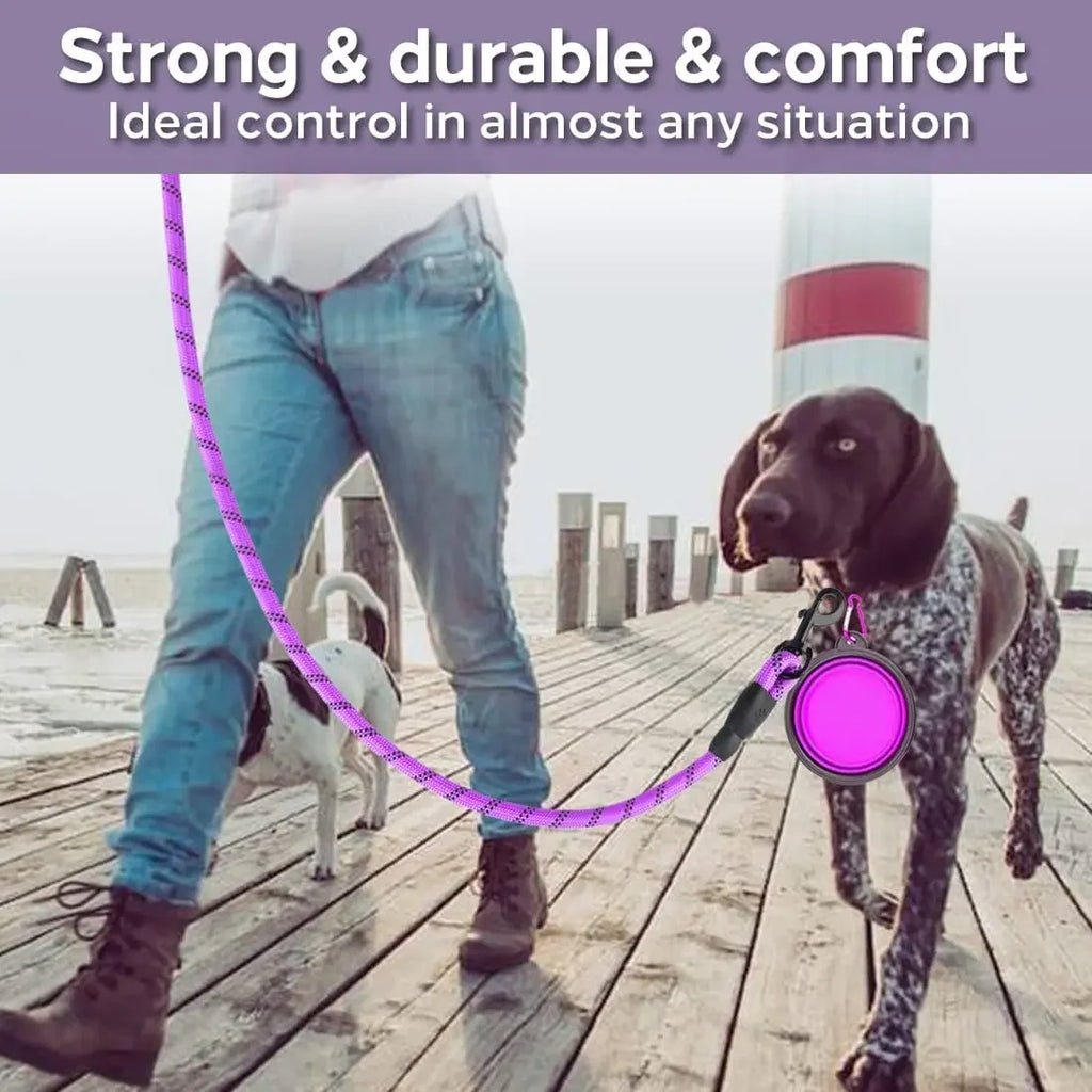 Heavy Duty Anti-Pull Bungee Dog Leash – Shock Absorbing Reflective Pet Leash with Soft Dual Handles