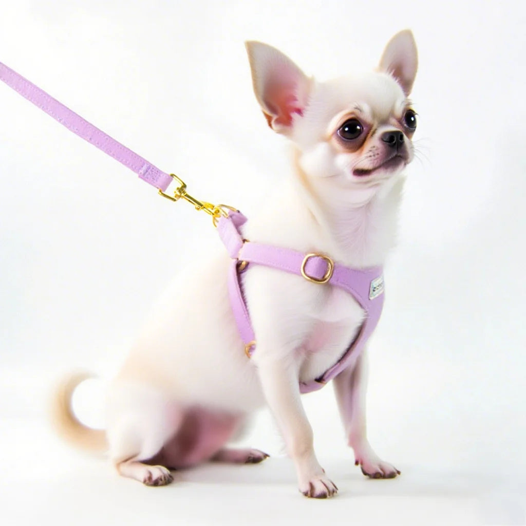 Adjustable Puppy Harness & Leash Set