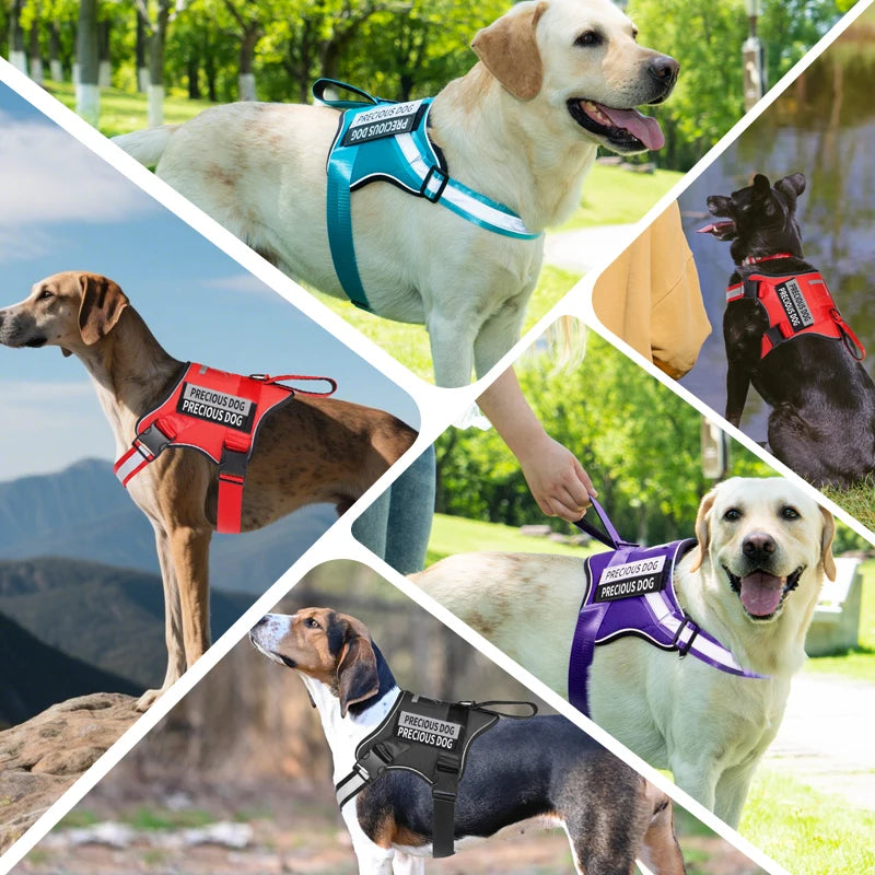 No-Pull Dog Harness with Top Control Handle | Reflective Adjustable Pet Vest for Training, Walking, and Running | Heavy-Duty Comfort Padded Harness for Medium to Large Dogs