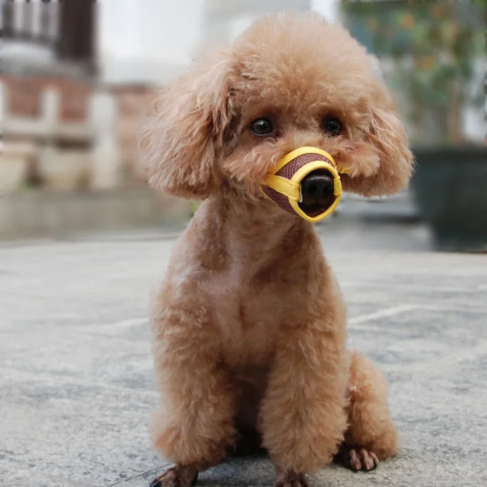 Silicone Duck Bill Dog Muzzle – Anti-Biting & Anti-Barking Soft Pet Mouth Cover for Puppies, Small & Medium Dogs