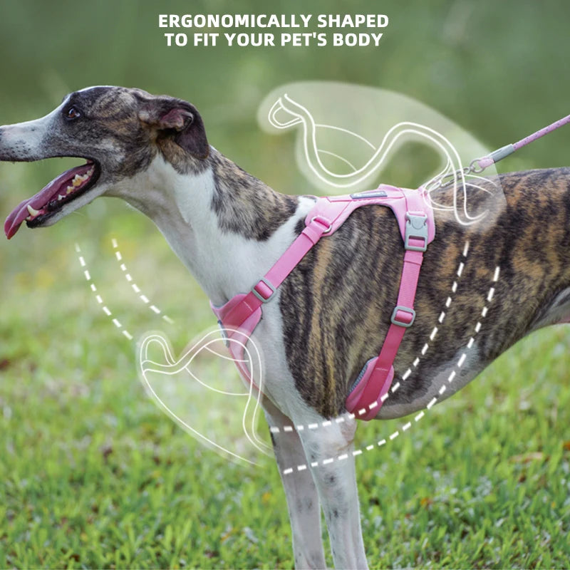 Lightweight Step-In Dog Harness | Breathable No-Pull Mesh Pet Vest | Adjustable Reflective Outdoor Walking Harness for Small, Medium, and Large Dogs