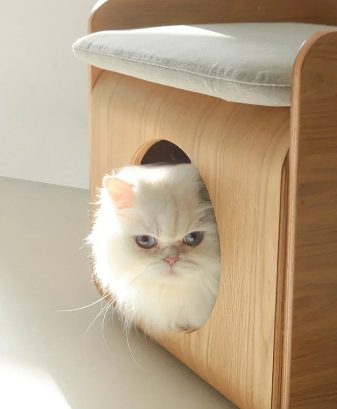 2-in-1 Wooden Cat House Side Table – Curved Bedside Nightstand & Indoor Pet Condo with Cushion