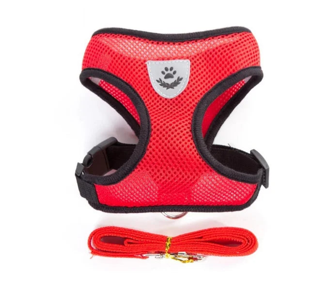Cat and Dog Harness with Leash Set | Adjustable Polyester Mesh Breathable Walking Vest | Reflective No-Choke Escape-Proof Harness Jacket for Kittens and Small Dogs