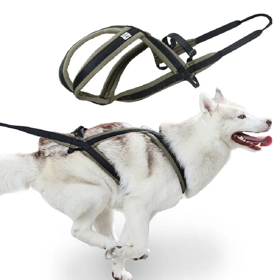Outdoor No-Pull Dog Harness and Leash Set | Adjustable Reflective Pet Vest with Heavy-Duty Handle | Comfortable No-Choke Training Harness for Medium and Large Dogs