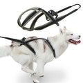Outdoor No-Pull Dog Harness and Leash Set | Adjustable Reflective Pet Vest with Heavy-Duty Handle | Comfortable No-Choke Training Harness for Medium and Large Dogs
