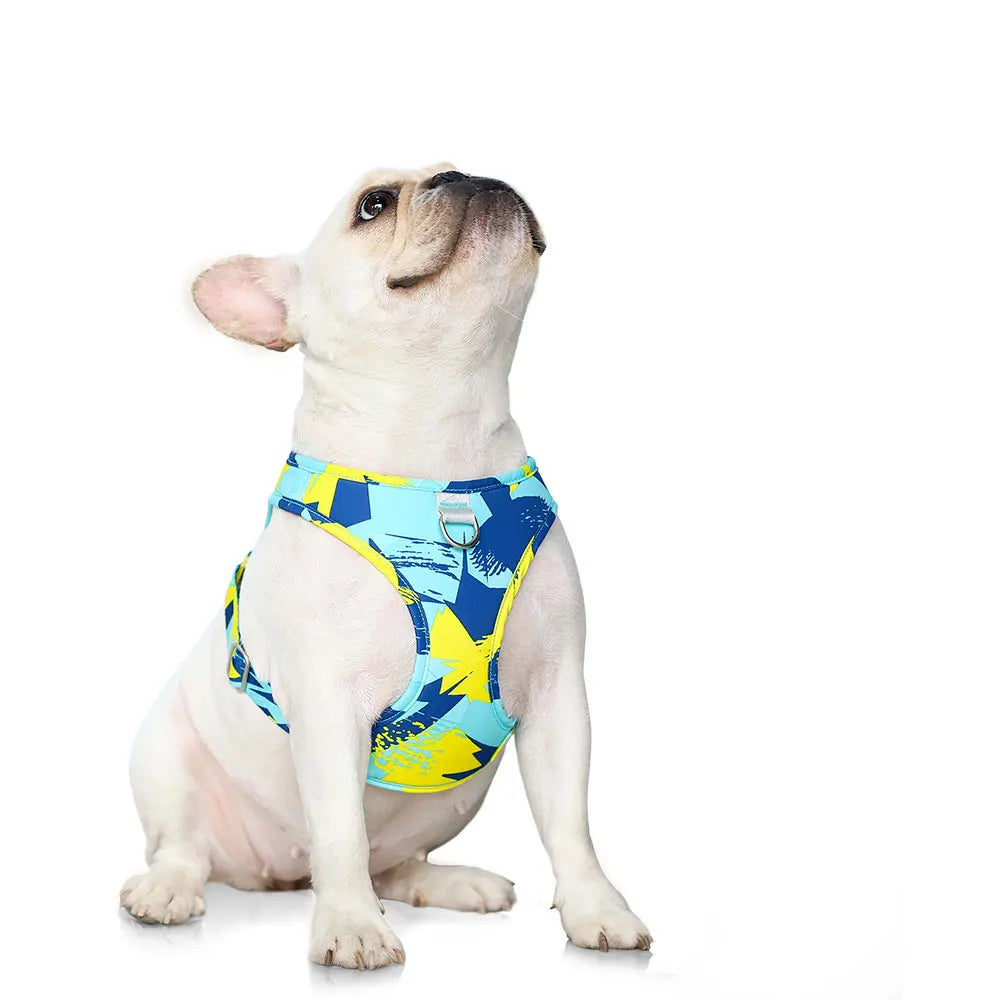 Adjustable Dog Harness & Leash Set