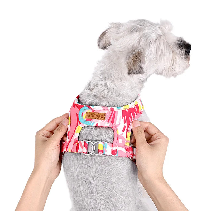 Adjustable Dog Harness & Leash Set