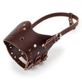 Soft Leather Dog Muzzle | Anti-Biting Barking and Chewing Secure Loop Guard | Adjustable Breathable Training Pet Snout Cover for Small Medium and Large Dogs
