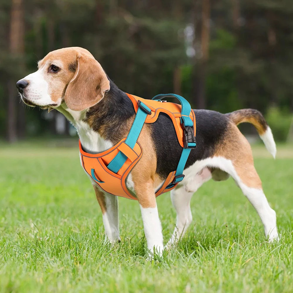 Mesh Breathable Dog Harness Vest | Nylon Reflective Adjustable Pet Training Harness | Durable No-Choke Outdoor Walking Vest for Small, Medium, and Large Dogs