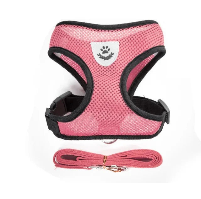Cat and Dog Harness with Leash Set | Adjustable Polyester Mesh Breathable Walking Vest | Reflective No-Choke Escape-Proof Harness Jacket for Kittens and Small Dogs