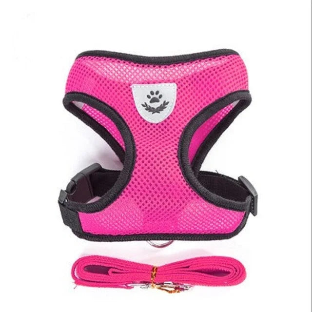 Cat and Dog Harness with Leash Set | Adjustable Polyester Mesh Breathable Walking Vest | Reflective No-Choke Escape-Proof Harness Jacket for Kittens and Small Dogs