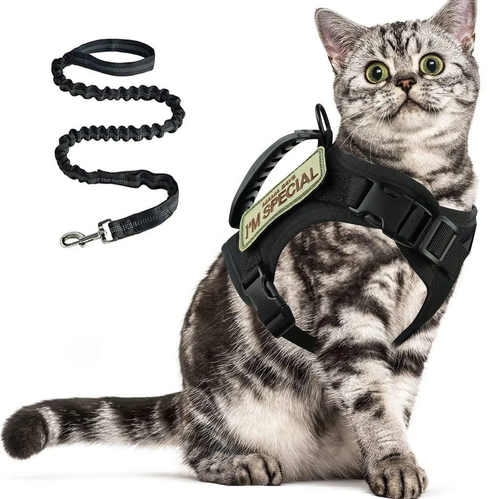 Heavy Duty Bungee Dog Leash for Large Dogs