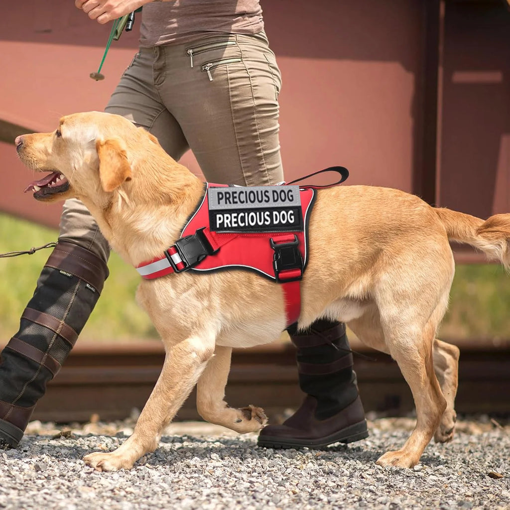 No-Pull Dog Harness with Top Control Handle | Reflective Adjustable Pet Vest for Training, Walking, and Running | Heavy-Duty Comfort Padded Harness for Medium to Large Dogs