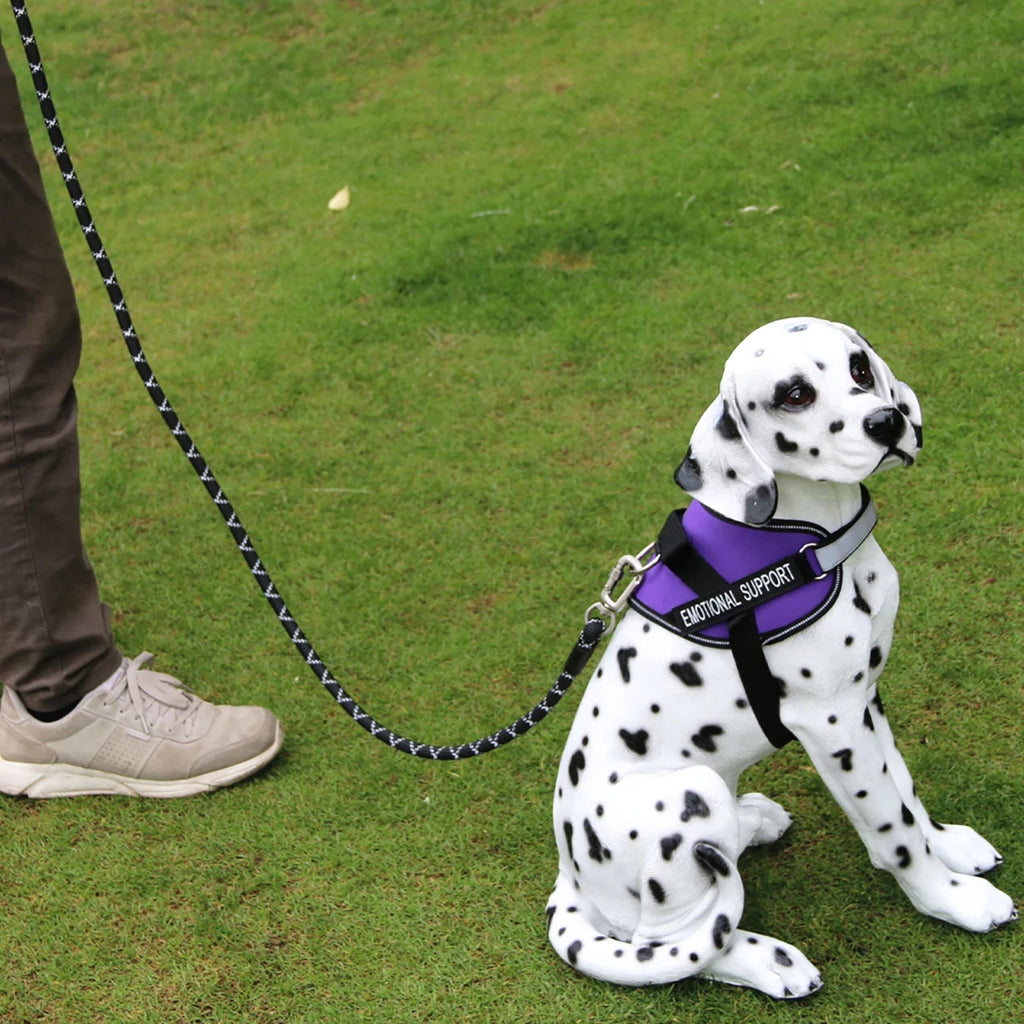 Reflective Rope Dog Leash with Padded Handle