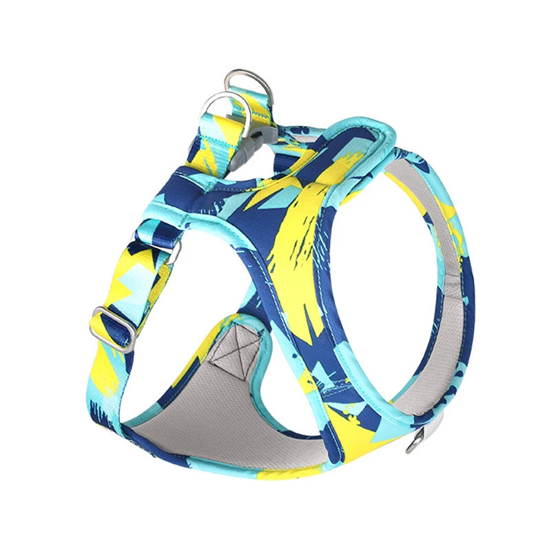 Adjustable Dog Harness & Leash Set