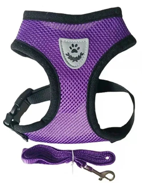 Cat and Dog Harness with Leash Set | Adjustable Polyester Mesh Breathable Walking Vest | Reflective No-Choke Escape-Proof Harness Jacket for Kittens and Small Dogs