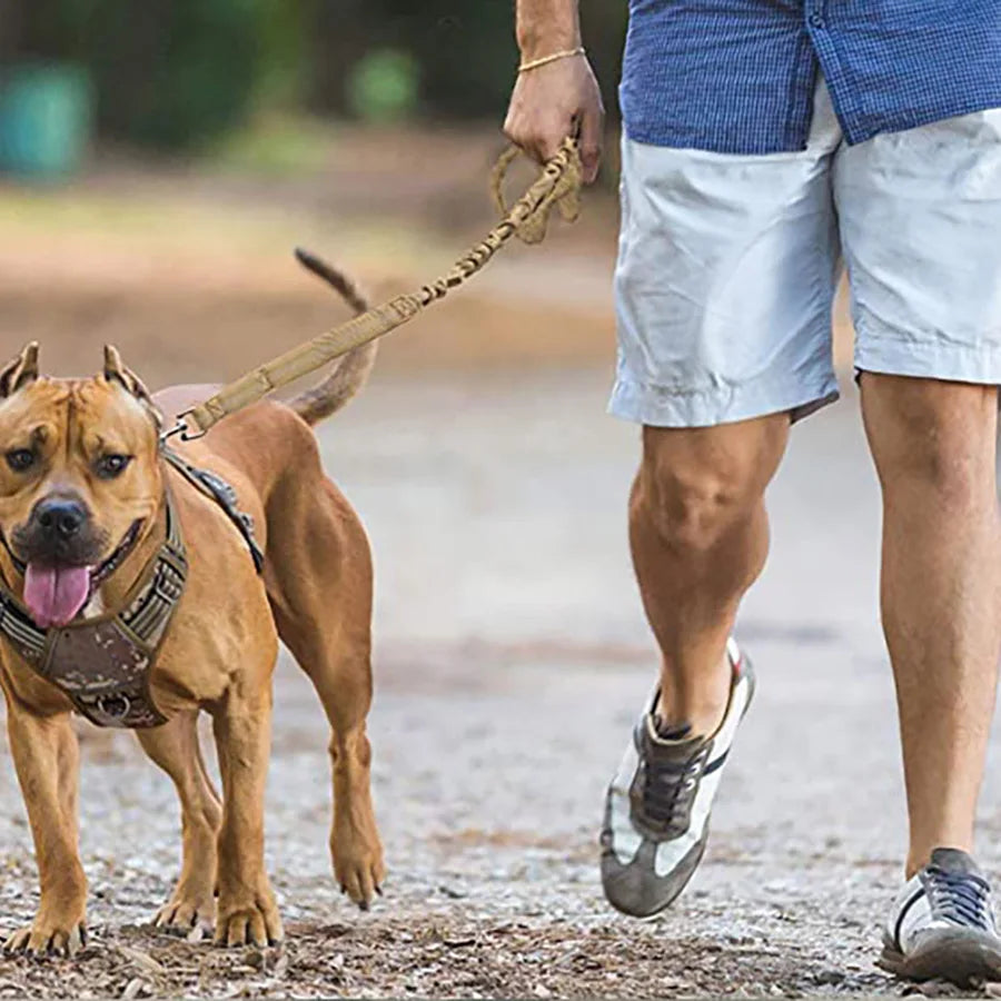 Heavy Duty Bungee Dog Leash | 4FT Shock Absorbing Extension Traffic Lead | Tactical No-Pull Reflective Walking Running Rope for Medium and Large Dogs