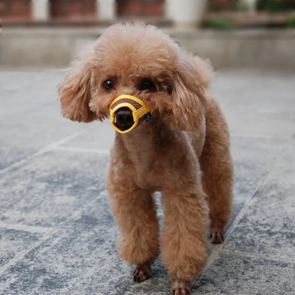Silicone Duck Bill Dog Muzzle – Anti-Biting & Anti-Barking Soft Pet Mouth Cover for Puppies, Small & Medium Dogs