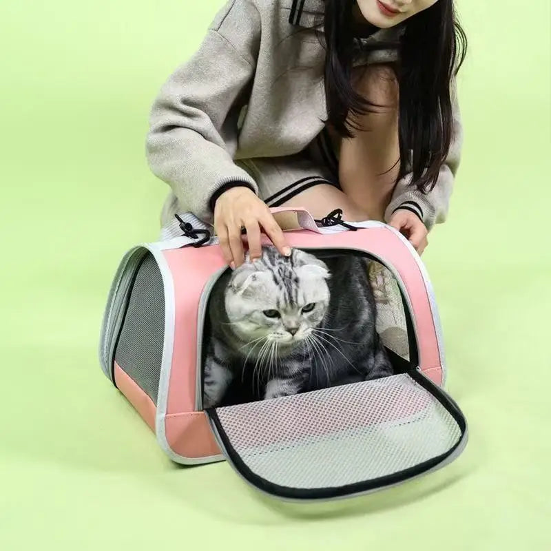 Pet Outing Portable Handbag | Summer Breathable Cat & Dog Carrier Bag | Travel Puppy & Kitten Single Shoulder Tote with Mesh Ventilation Panel