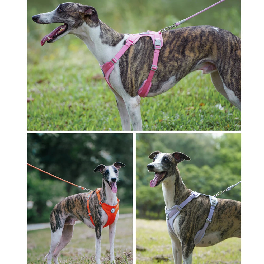 Lightweight Step-In Dog Harness | Breathable No-Pull Mesh Pet Vest | Adjustable Reflective Outdoor Walking Harness for Small, Medium, and Large Dogs