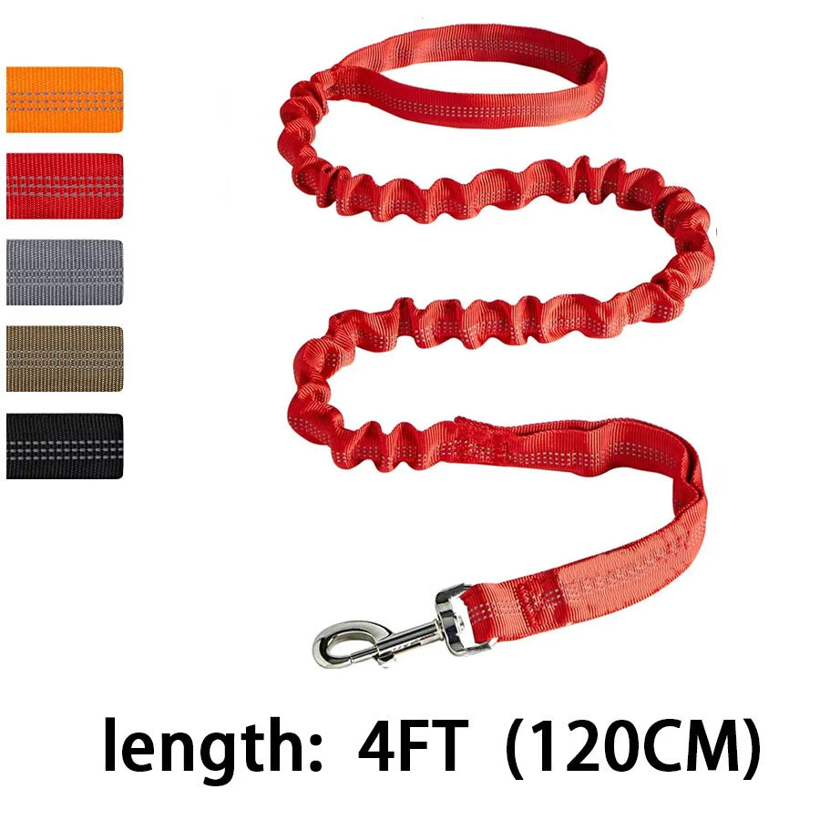 Heavy Duty Bungee Dog Leash | 4FT Shock Absorbing Extension Traffic Lead | Tactical No-Pull Reflective Walking Running Rope for Medium and Large Dogs