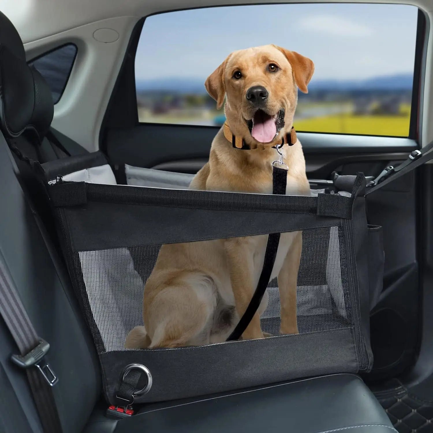 Portable Car Pet Seat | Stable Dog Carrier with Safety Mesh Protector | Waterproof Scratch-Proof Backseat Travel Basket Booster for Small to Medium Dogs
