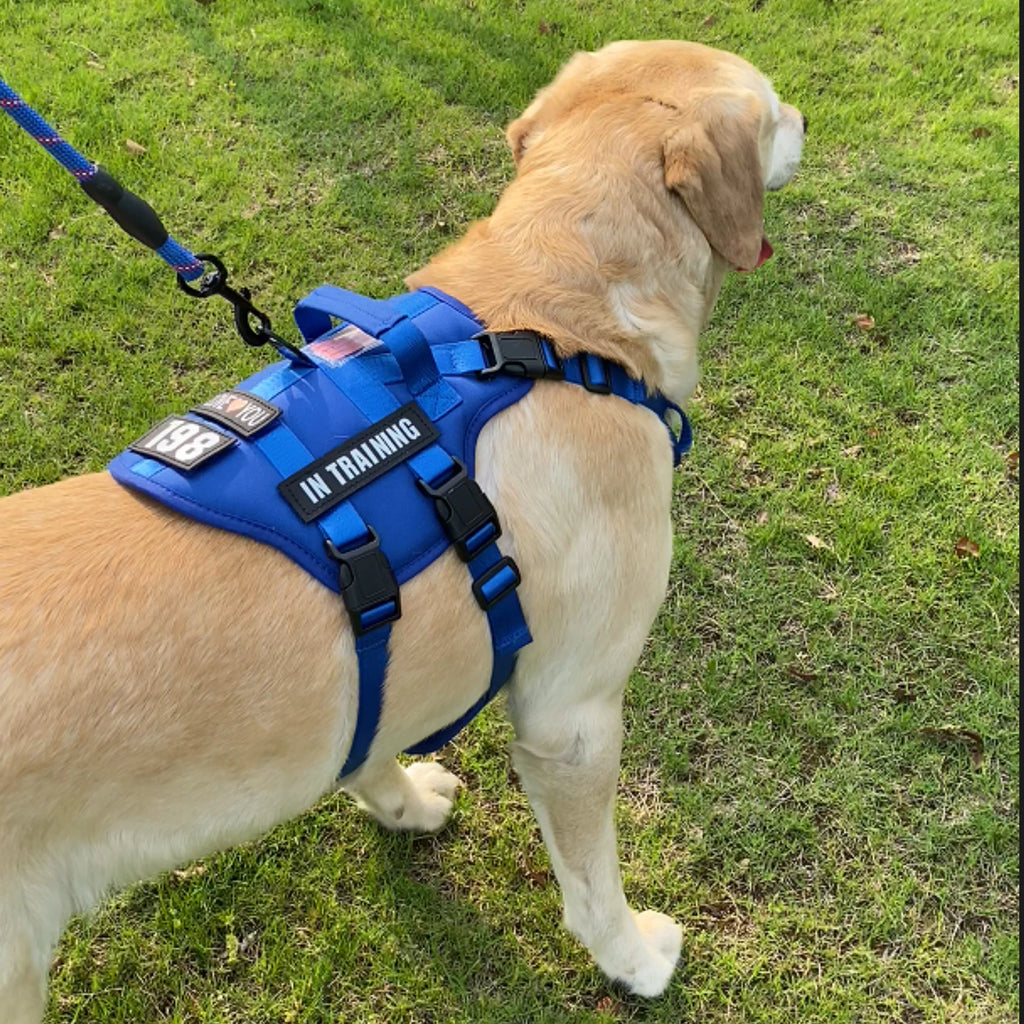 Tactical No-Pull Dog Harness Vest with 4 Removable Patches | Heavy-Duty Reflective Working Pet Harness | Adjustable Soft Padded Service Dog Vest for Medium to Large Dogs