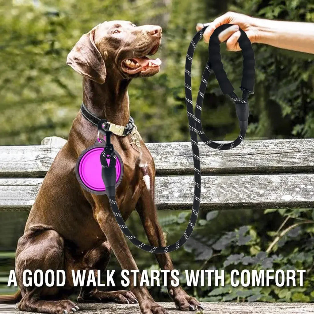 Heavy Duty Anti-Pull Bungee Dog Leash – Shock Absorbing Reflective Pet Leash with Soft Dual Handles