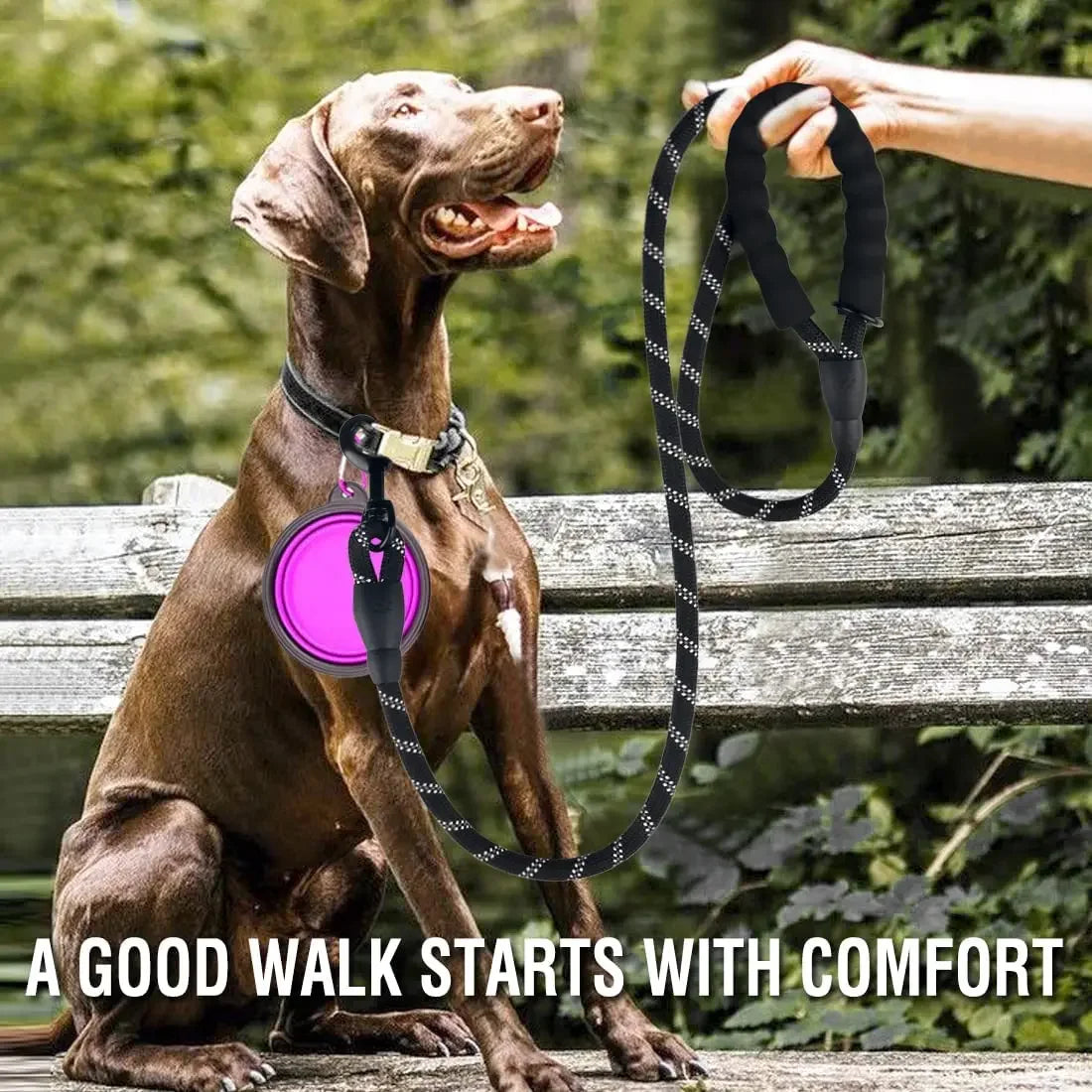 Heavy Duty Anti-Pull Bungee Dog Leash – Shock Absorbing Reflective Pet Leash with Soft Dual Handles